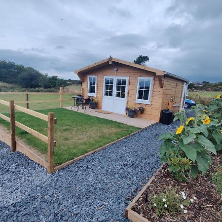Bumble Bee Cabin Bootle  المظهر الخارجي الصورة