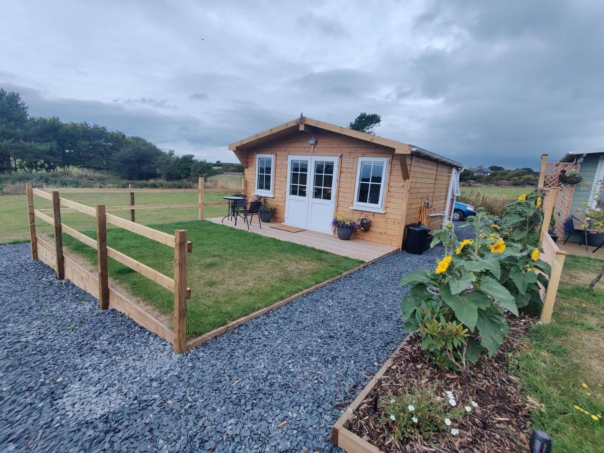 Bumble Bee Cabin Bootle  المظهر الخارجي الصورة