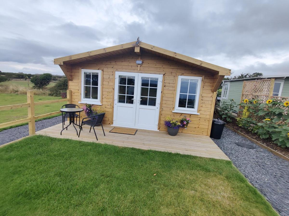 Bumble Bee Cabin Bootle  المظهر الخارجي الصورة